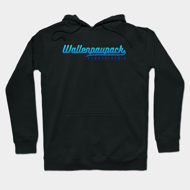 Lake Wallenpaupack Pennsylvania Hoodie by Zen Cosmos Official